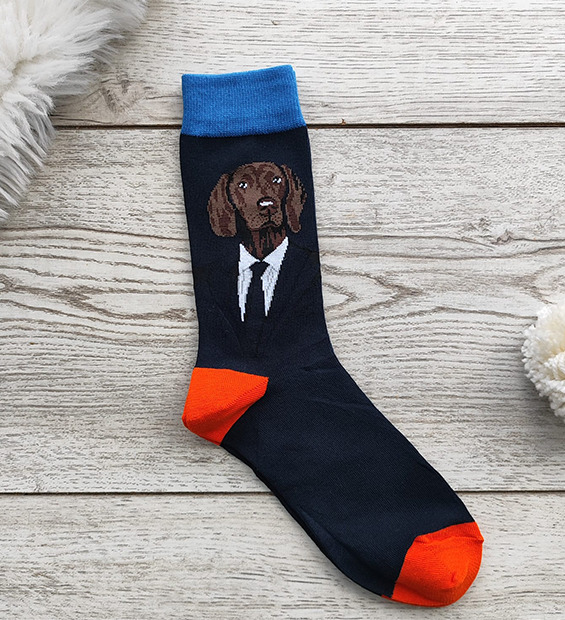 Medias Largas Perro Elegante